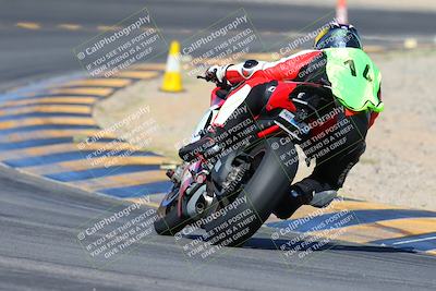 media/Apr-14-2024-SoCal Trackdays (Sun) [[70f97d3d4f]]/2-Turn 11 Backside (935am)/